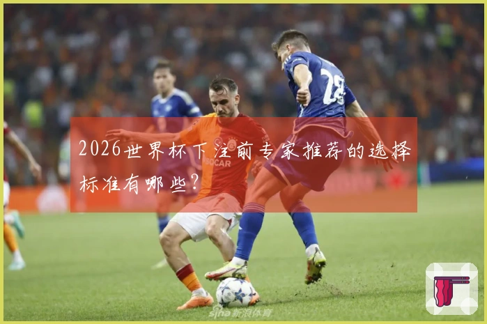 2026世界杯下注前专家推荐的选择标准有哪些？