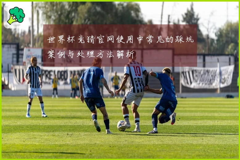世界杯竞猜官网使用中常见的踩坑案例与处理方法解析