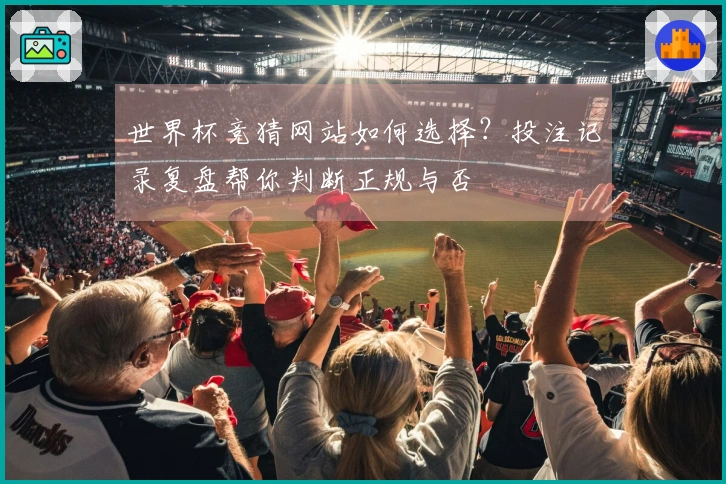 世界杯竞猜网站如何选择？投注记录复盘帮你判断正规与否
