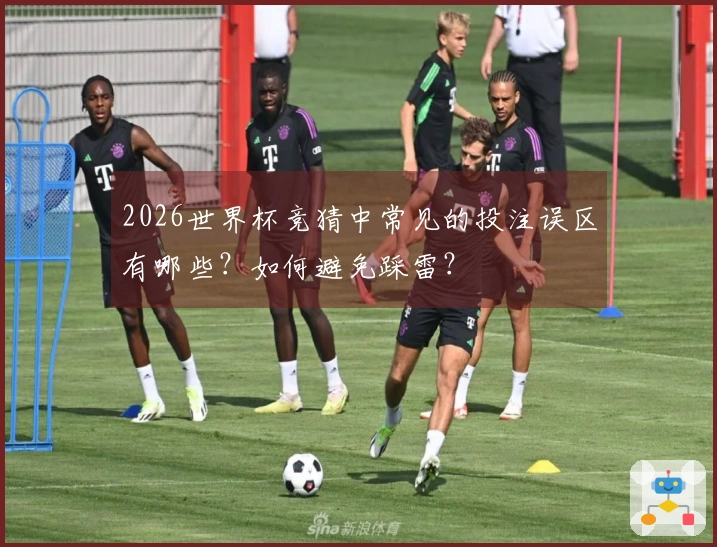 2026世界杯竞猜中常见的投注误区有哪些？如何避免踩雷？