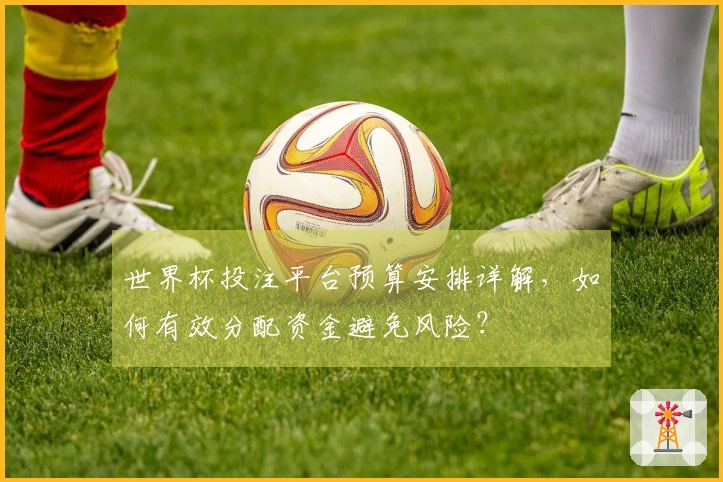 世界杯投注平台预算安排详解，如何有效分配资金避免风险？