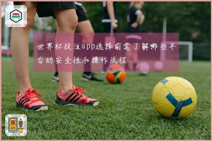 世界杯投注app选择前需了解哪些平台的安全性和操作流程