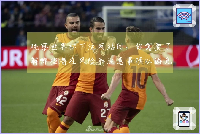 观察世界杯下注网站时，你需要了解哪些潜在风险和注意事项以避免损失？
