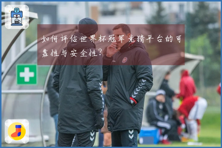 如何评估世界杯冠军竞猜平台的可靠性与安全性？