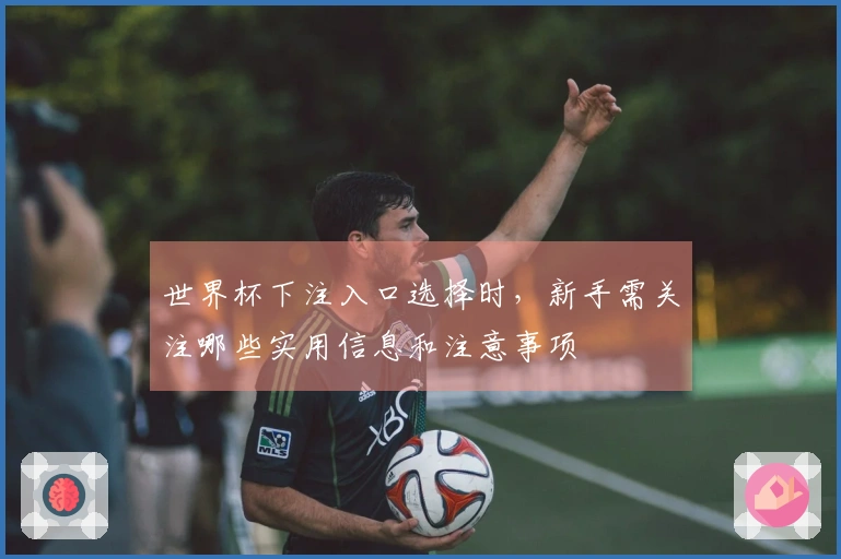世界杯下注入口选择时,新手需关注哪些实用信息和注意事项