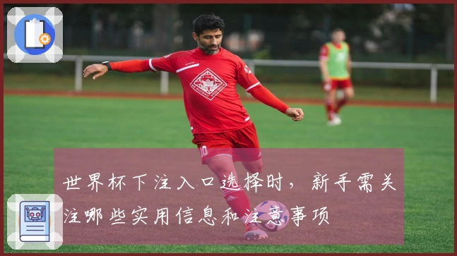 世界杯下注入口选择时，新手需关注哪些实用信息和注意事项