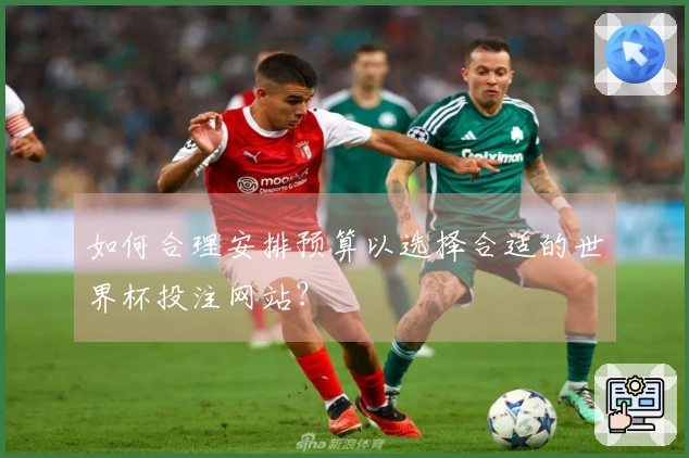 如何合理安排预算以选择合适的世界杯投注网站？