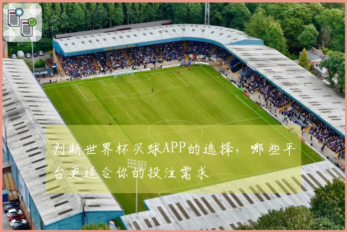 判断世界杯买球APP的选择，哪些平台更适合你的投注需求