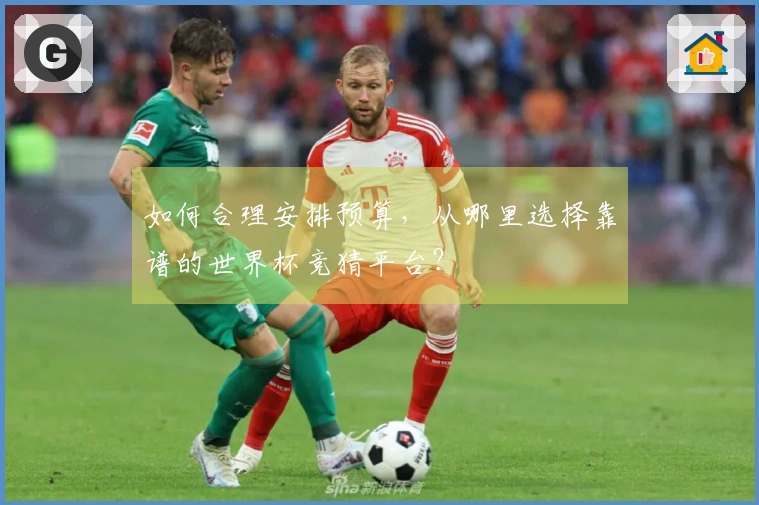 如何合理安排预算，从哪里选择靠谱的世界杯竞猜平台？