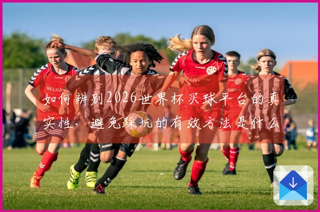 如何辨别2026世界杯买球平台的真实性,避免踩坑的有效方法是什么?