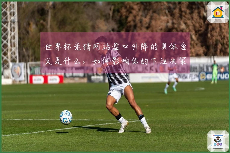 世界杯竞猜网站盘口升降的具体含义是什么，如何影响你的下注决策？
