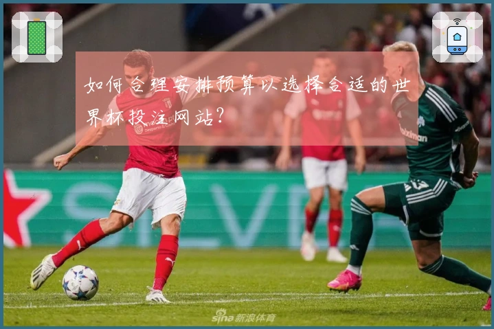 如何合理安排预算以选择合适的世界杯投注网站？