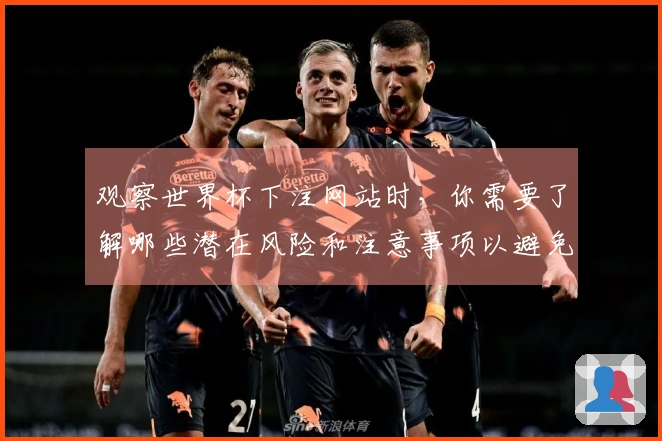 观察世界杯下注网站时，你需要了解哪些潜在风险和注意事项以避免损失？