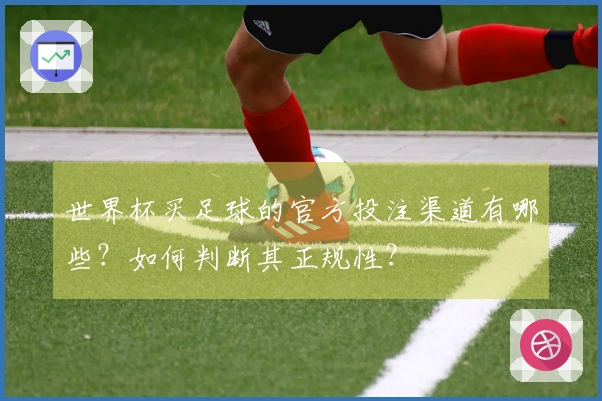 世界杯买足球的官方投注渠道有哪些？如何判断其正规性？