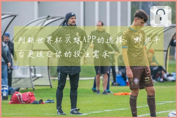 判断世界杯买球APP的选择,哪些平台更适合你的投注需求