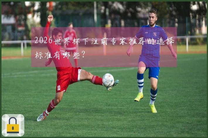 2026世界杯下注前专家推荐的选择标准有哪些？